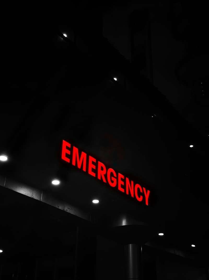 Emergency Theory: How Fear Drives Your Survival Instincts