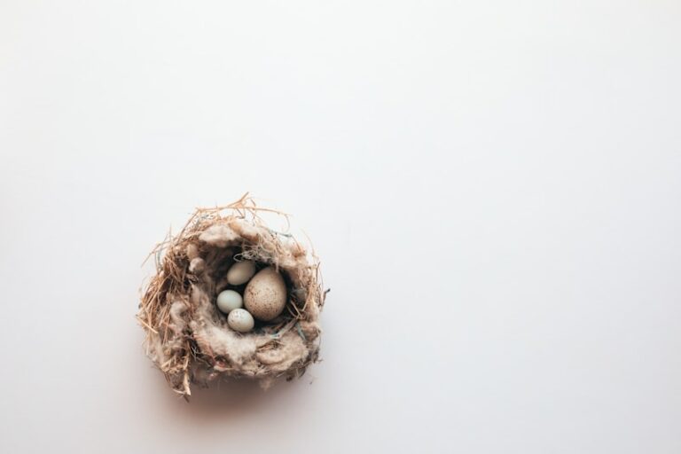 Empty Nest Syndrome: Reclaiming Your Life After They Leave
