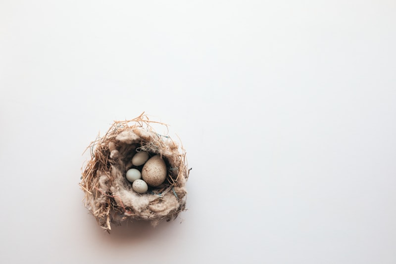 Empty Nest Syndrome: Reclaiming Your Life After They Leave