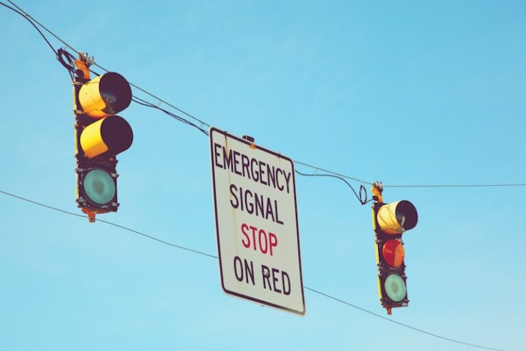 Endogenous Cues: How Your Inner Signals Drive Choices