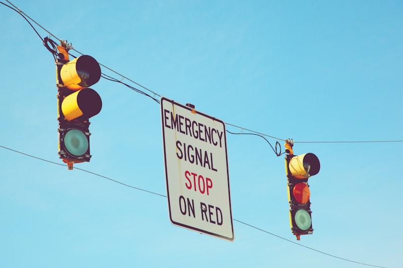 Endogenous Cues: How Your Inner Signals Drive Choices