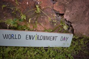 Environmental Adaptation: How Your Surroundings Control You