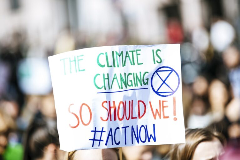 Environmental Attitudes: Shaping Our Shared Future