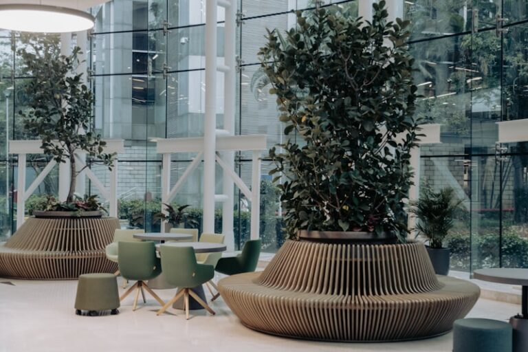 Environmental Design: Master Your Surroundings for Success
