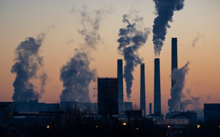 Environmental Psychology: How Smog Alters Your Mind