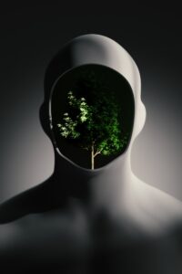 Environmental Psychology: How Your Space Shapes Your Mind