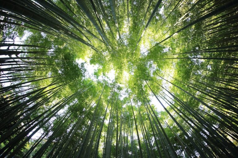 Environmental Psychology: How Your Surroundings Shape You