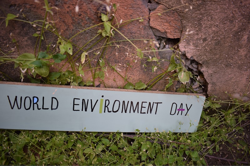Environmental Stress: How Your Surroundings Shape You