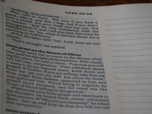 Erikson’s Stages: Mastering Life’s Eight Crucial Crises