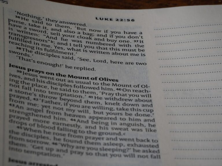 Erikson’s Stages: Mastering Life’s Eight Crucial Crises