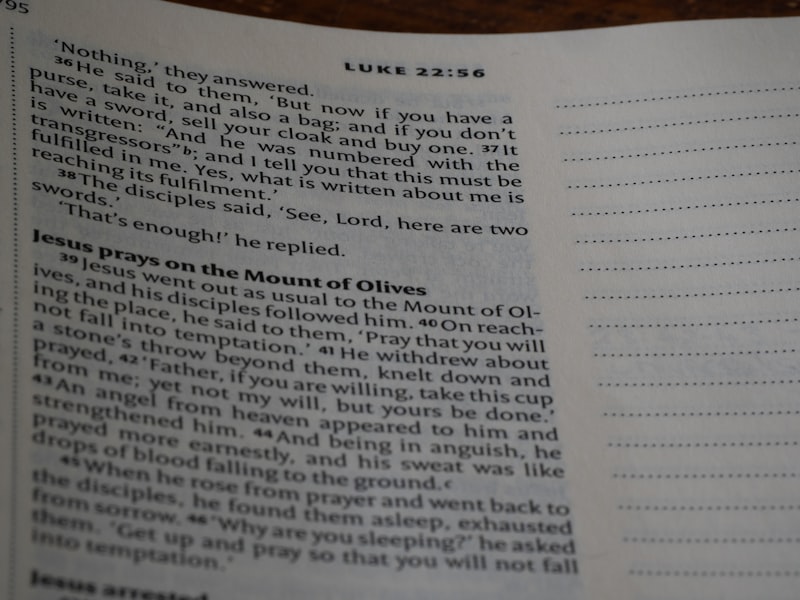 Erikson’s Stages: Mastering Life’s Eight Crucial Crises