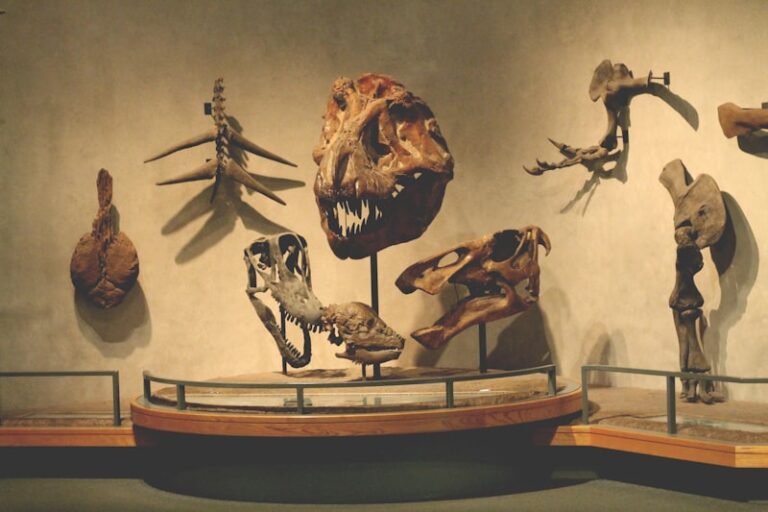 Evolutionary Development: How Our Ancestors Shape Us