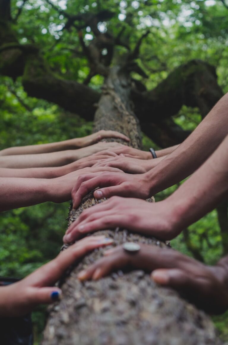 Group Therapy: Healing Through the Power of Connection