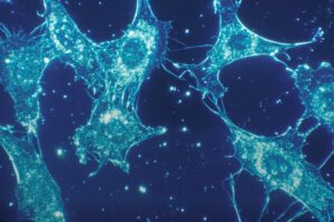 Gustatory Perception: How Light Cells Shape Your Reality