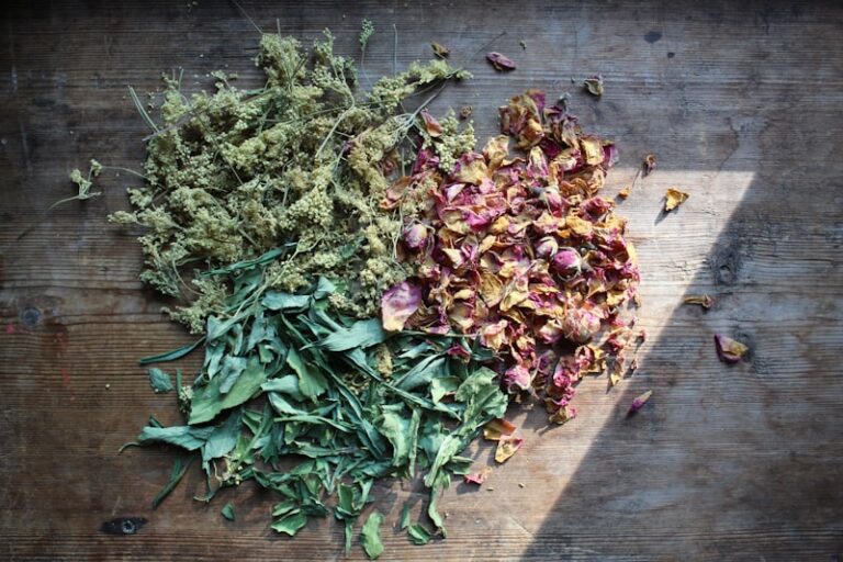 Herbal Synergy: Nature’s New Frontier for Mood Regulation