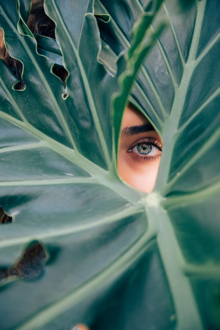 Human Nature: The Blueprint of Your Inner World