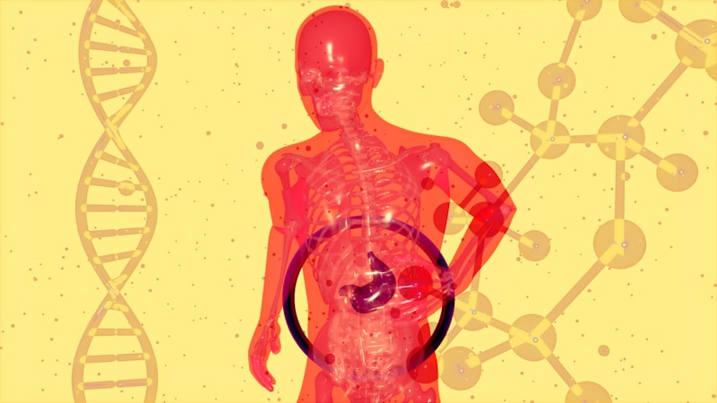 Intuition: Decoding the Science of Your Gut Instinct