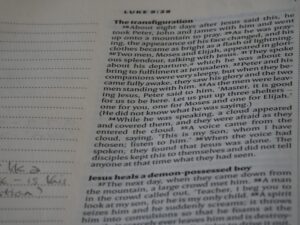 Kin Recognition: The Secret Logic of Family Bonds