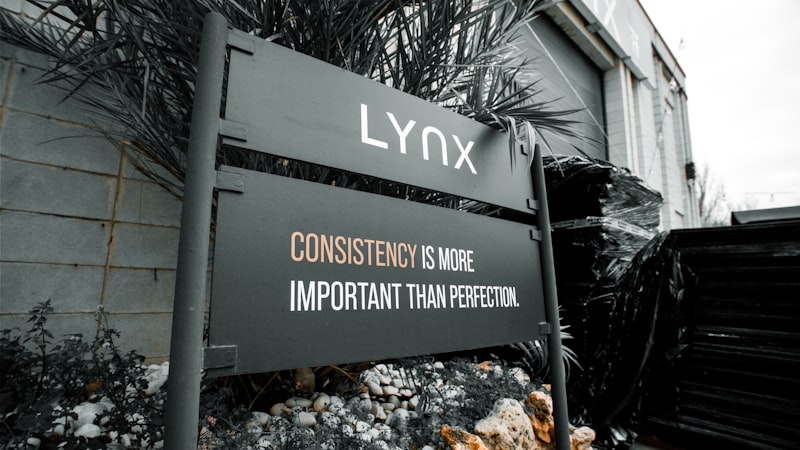 LMX Theory: How Unique Bonds Drive Workplace Success