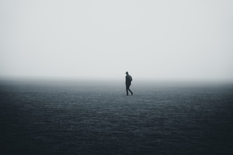 Lucid Interval: Finding Clarity Amidst Mental Fog