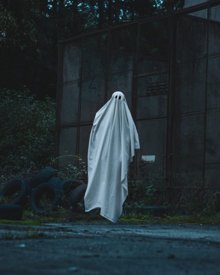 Medial Temporal Amnesia: When the Past Becomes a Ghost