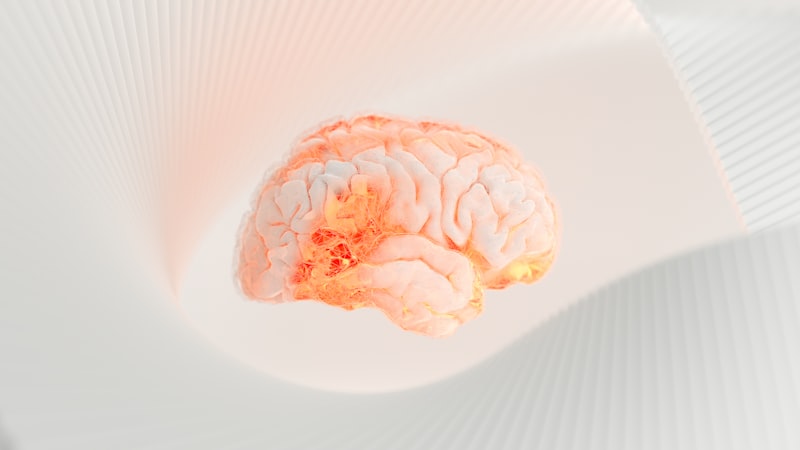 Memory Color: How Your Brain Rewrites Reality