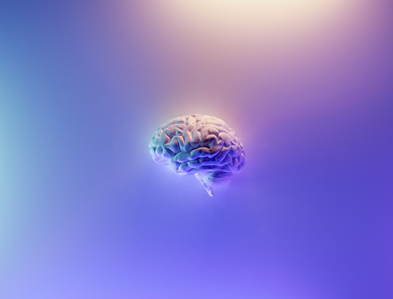 Memory Retention: Unlock Your Brain’s Hidden Potential