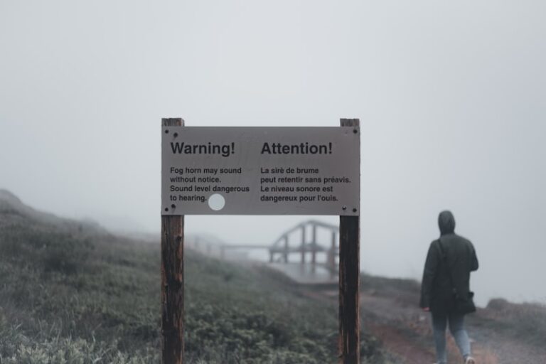 Meningeal Irritation: The Body’s Silent Warning System