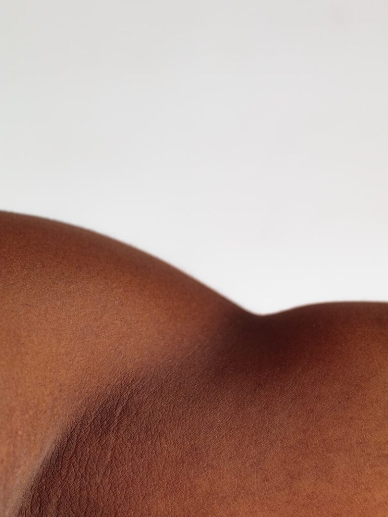 Merkel’s Law: How Your Skin Shapes Your Perception