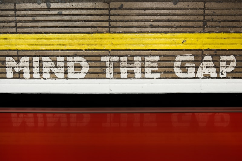 Monism: Bridging the Gap Between Mind and Body