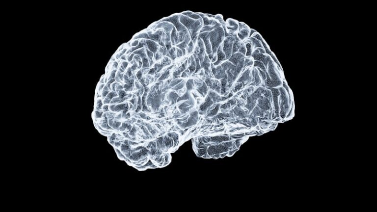 Motor Control: Mapping the Mind’s Motion