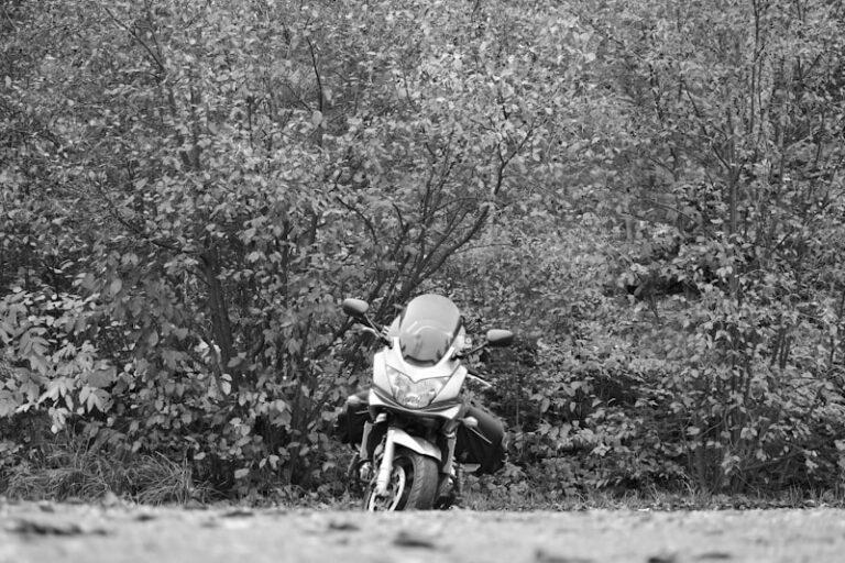 Motor Neglect: The Hidden Barrier to Voluntary Motion