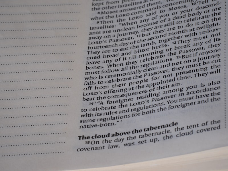 Multiple Drafts: Unraveling the Illusion of Consciousness