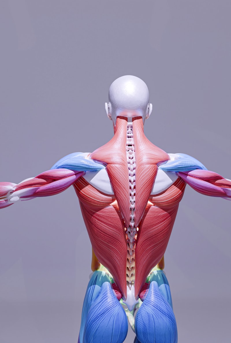 Muscle-Tension Gradient: Decipher Your Body’s Stress Signals