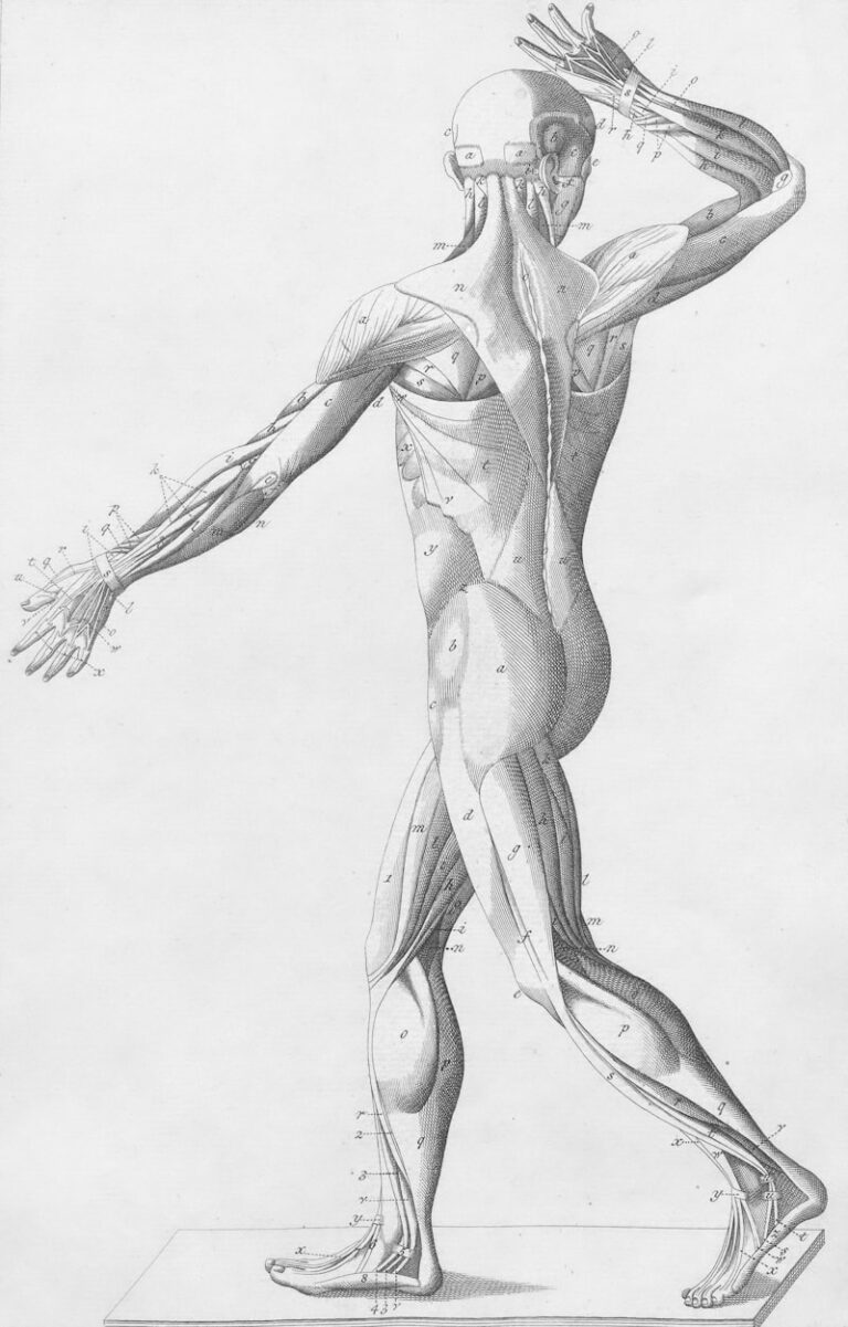 Muscular Psychology: The Science of Sustained Tension