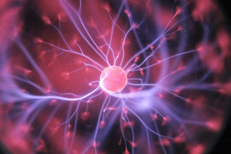 Neural Depolarization: How Your Brain Sparks Action