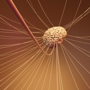 Neural Pathways: Mapping the Roots of Human Behavior