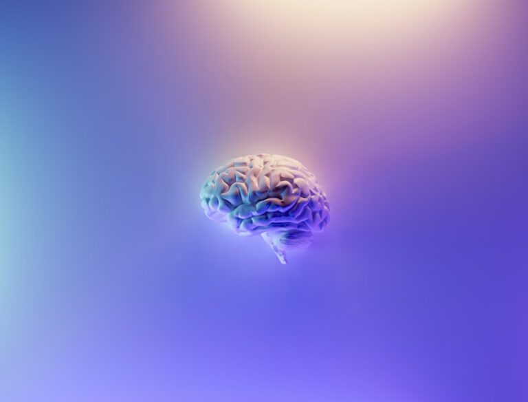 Neuroanatomy: The Brain’s Hidden Regulatory Core