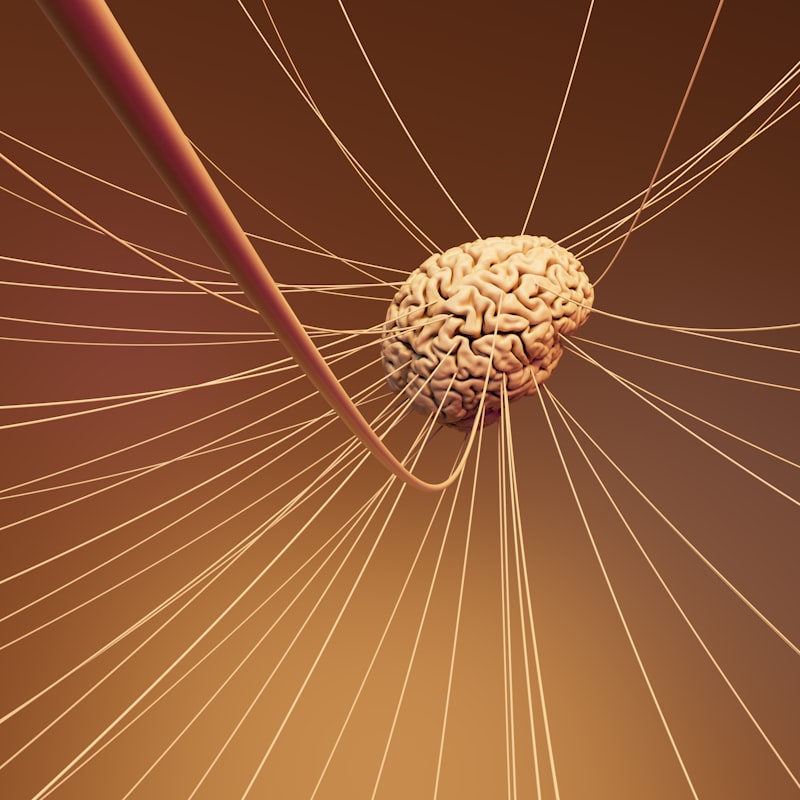 Neurodevelopment: Understanding Neural Tube Defects