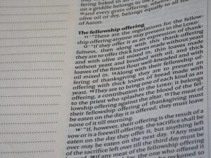 Nominal Leadership: Influence Beyond the Official Title