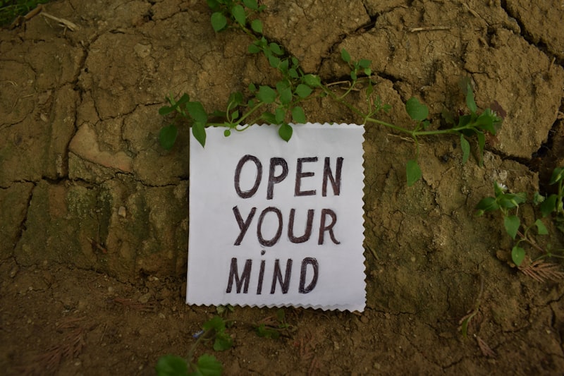 Objective Reality: How Your Mind Constructs Your World