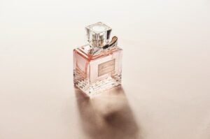 Olfactory Neuroscience: Decoding How Scents Shape Your Mind