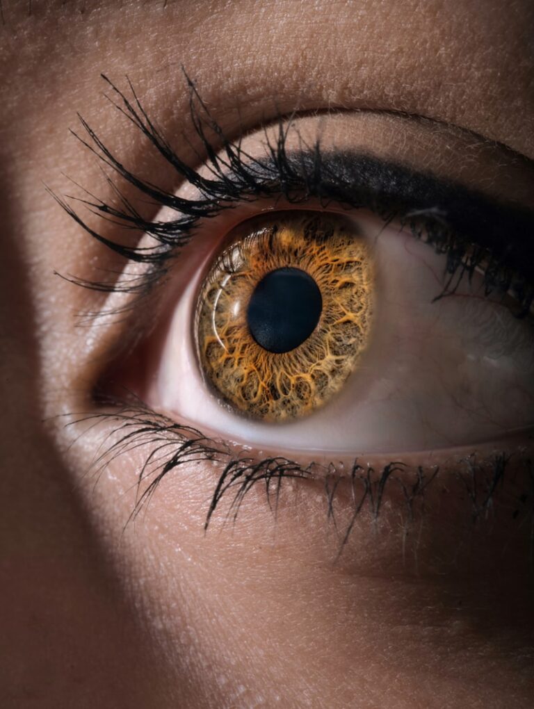 Optokinetic Reflex: How Your Eyes Keep Reality Steady
