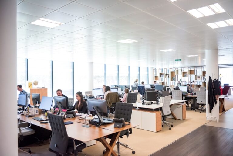 Organizational Culture: Decoding the Workplace Mind