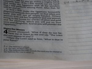 Orthography: How Written Symbols Rewire Your Mind