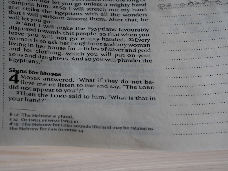 Orthography: How Written Symbols Rewire Your Mind