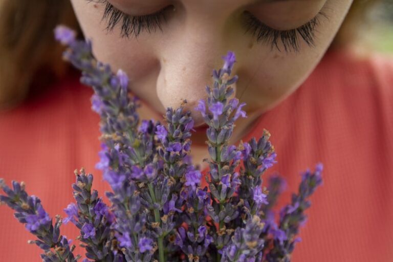Orthonasal Olfaction: The Psychology of How We Smell