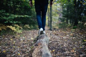 Outdoor Therapy: Nature's Path to Mental Resilience