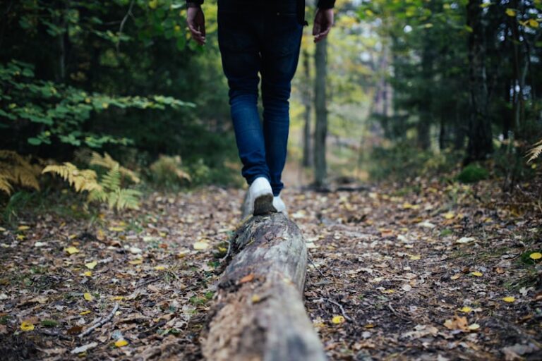 Outdoor Therapy: Nature's Path to Mental Resilience