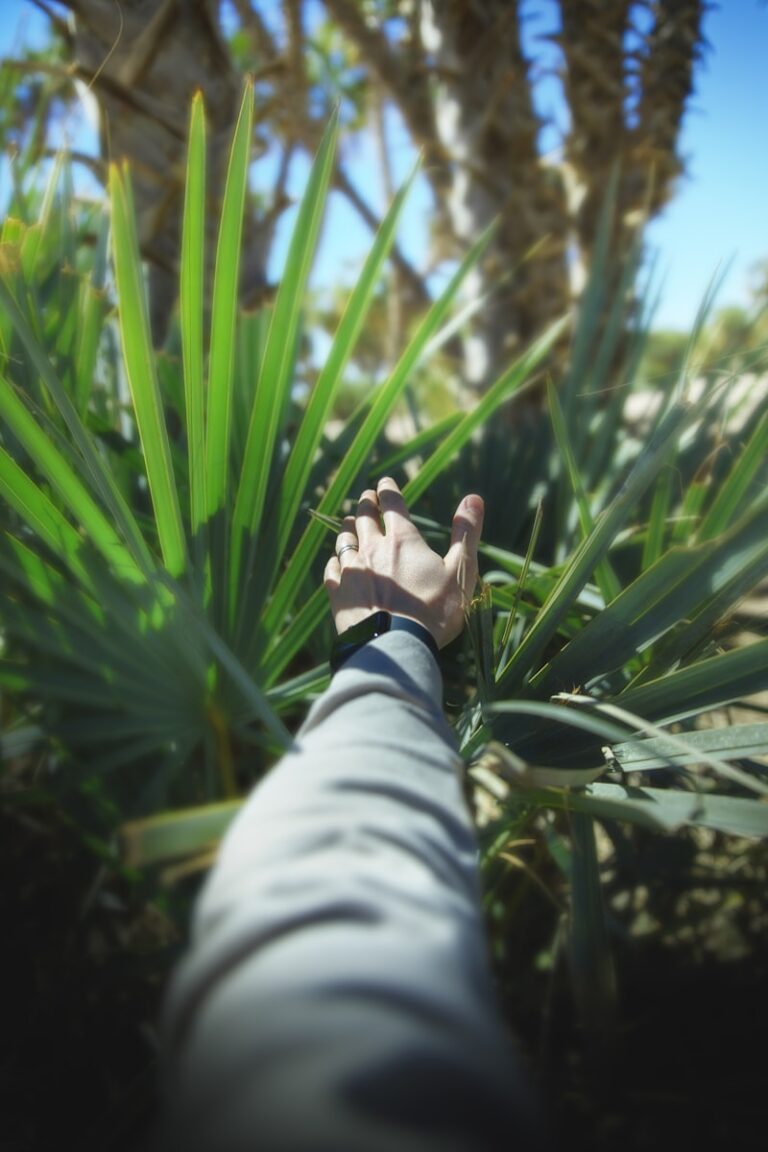 Palmar Reflex: The Hidden Instinct Behind Your Grip